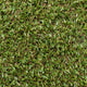 Ascot 15 Artificial Grass
