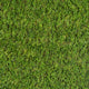 Birchcove 37mm Artificial Grass