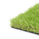 Birchcove 37mm Artificial Grass