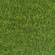 Birchcove 37mm Artificial Grass