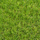 Birchcove 37mm Artificial Grass