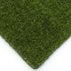Buffalo 30 Artificial Grass
