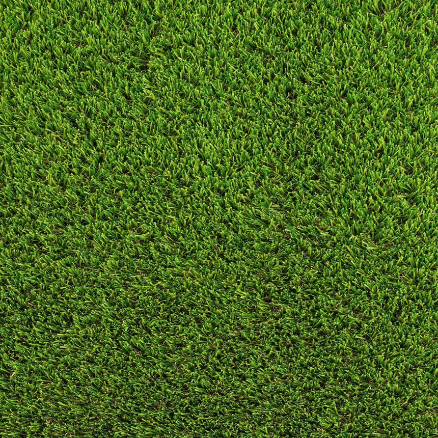 Camomile 32mm Artificial Grass