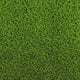 Camomile 32mm Artificial Grass