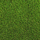 Camomile 32mm Artificial Grass