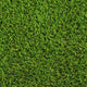 Camomile 32mm Artificial Grass