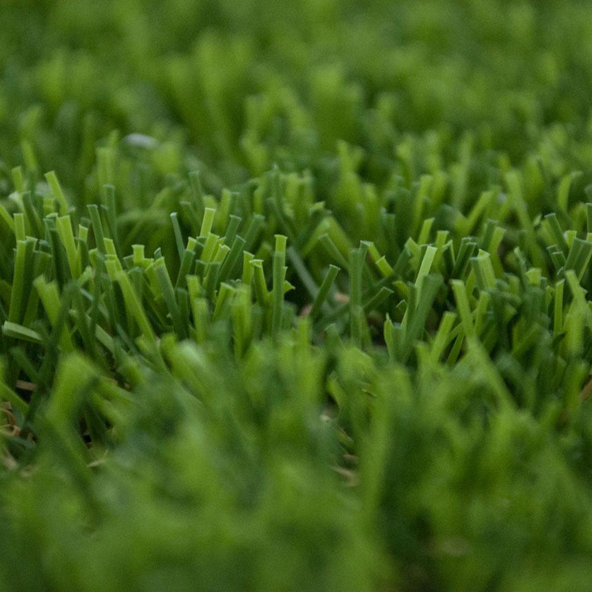 Campion 30mm Artificial Grass 5m
