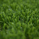 Campion 30mm Artificial Grass 5m