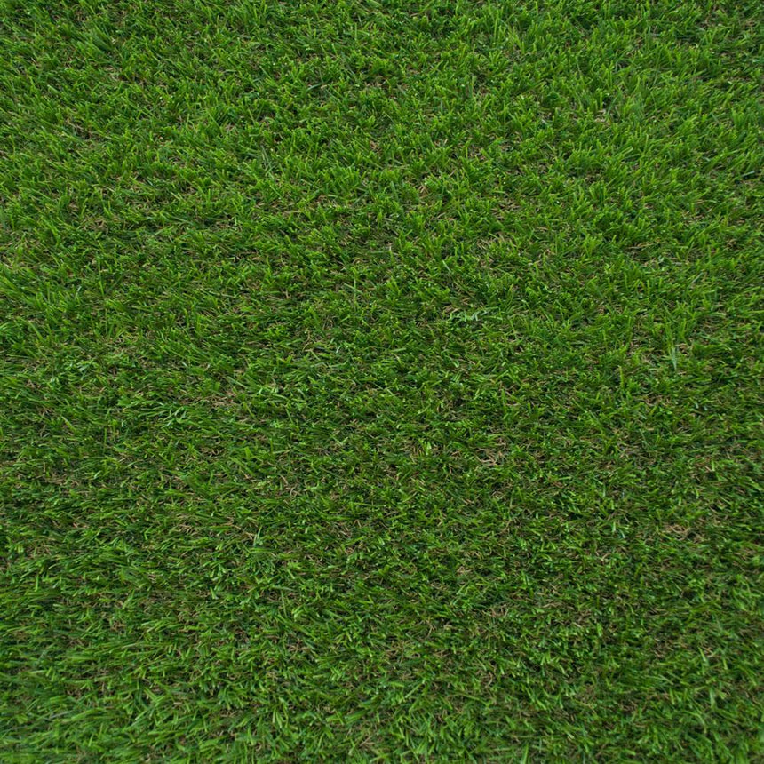 Campion 30mm Artificial Grass 5m