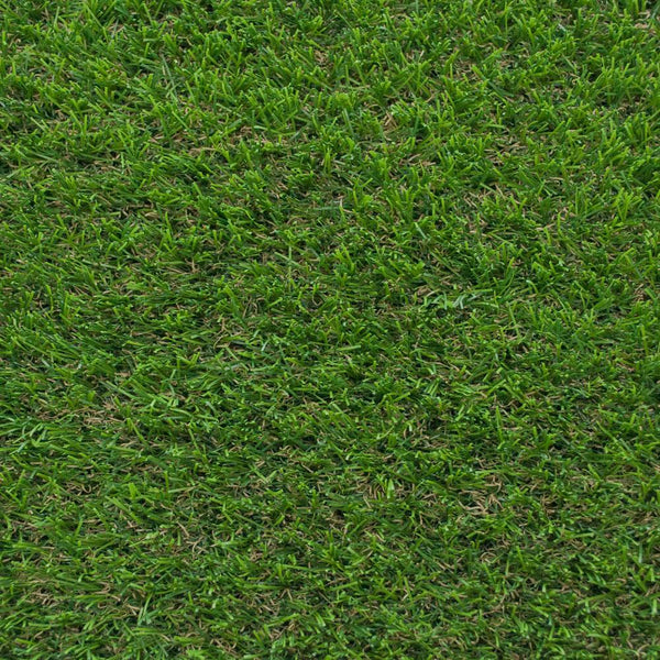Campion 30mm Artificial Grass 5m