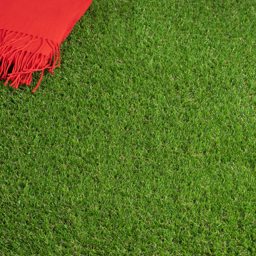 Campion 30mm Artificial Grass 5m