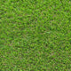 Campion 30mm Artificial Grass