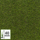Bloom 40 Artificial Grass