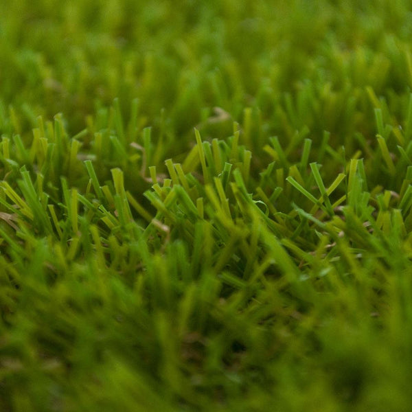 Bloom 40 Artificial Grass