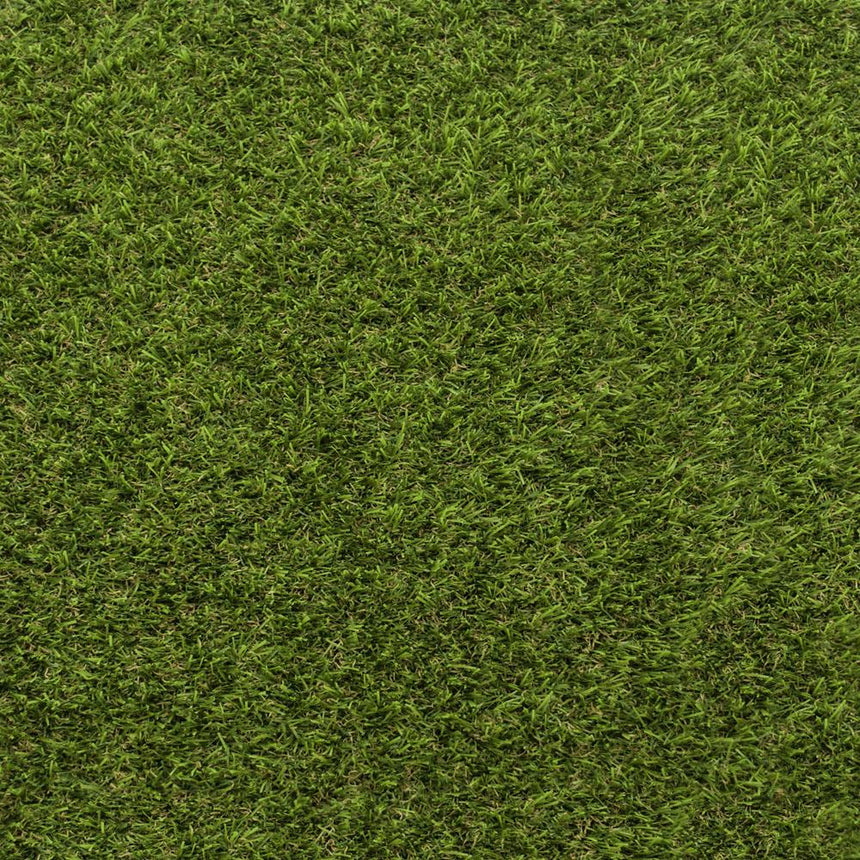 New Cargo Artificial Grass