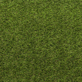 New Cargo Artificial Grass