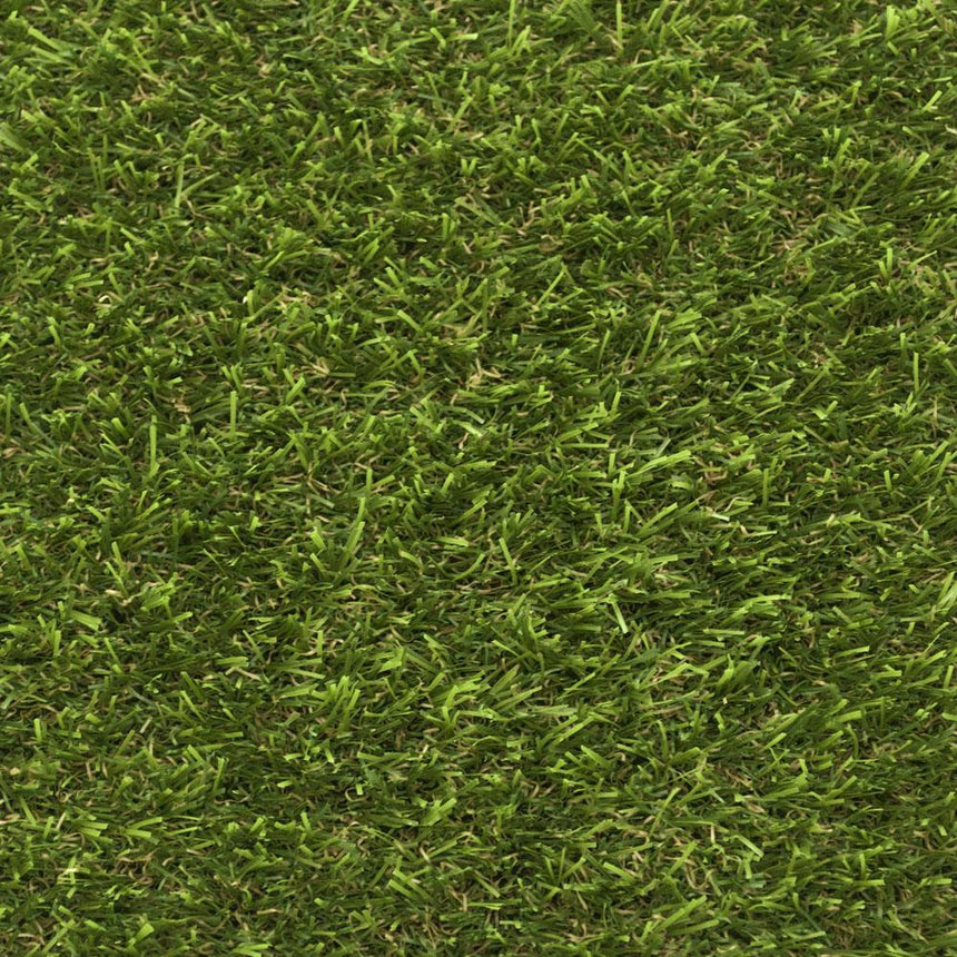 New Cargo Artificial Grass
