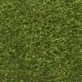 New Cargo Artificial Grass