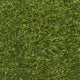 New Cargo Artificial Grass