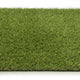 New Cargo Artificial Grass