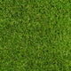 Castlevale 37mm Artificial Grass