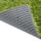 Chapelfields 22mm Artificial Grass