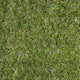 Chapelfields 22mm Artificial Grass