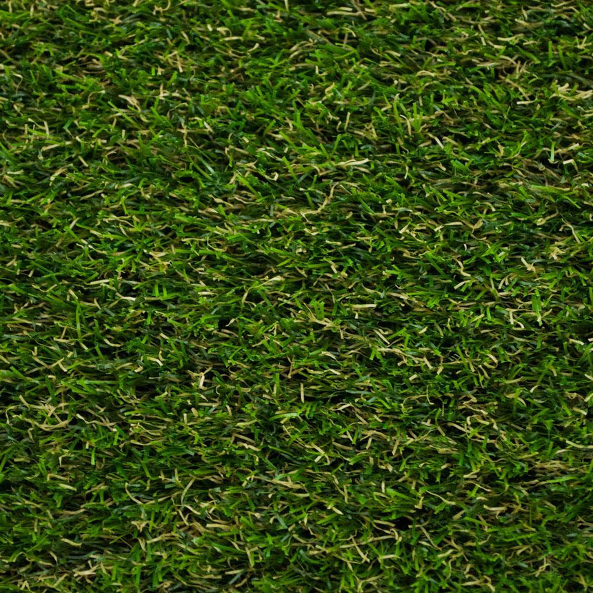 Lassen 30 Artificial Grass