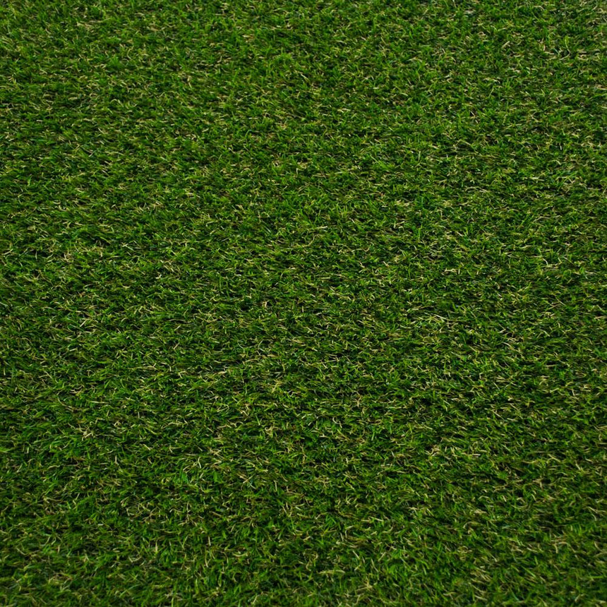 Lassen 30 Artificial Grass