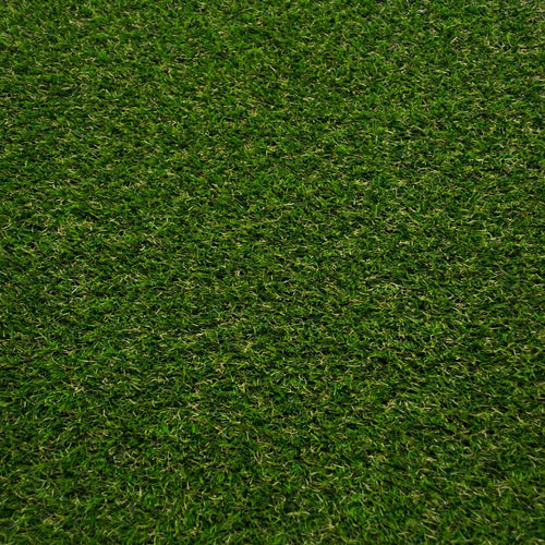 Lassen 30 Artificial Grass