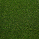 Lassen 30 Artificial Grass