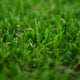 Lassen 30 Artificial Grass