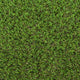 Chestermere 25mm Artificial Grass - Sample