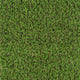 Chestermere 25mm Artificial Grass - Sample
