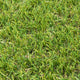 Yewvista 30mm Artificial Grass