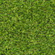 Ashvale 42mm Artificial Grass