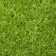 Baytree 32mm Artificial Grass