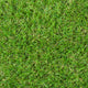 Maplespring 30mm Artificial Grass