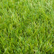 Baytree 32mm Artificial Grass