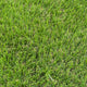 Palmbank 35mm PU Backed Artificial Grass 5m