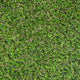 Sprucepark 25mm Artificial Grass 5m