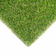 Sprucepark 25mm Artificial Grass 5m