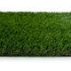 Daisy 40mm Artificial Grass 5m