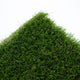 Daisy 40mm Artificial Grass 5m