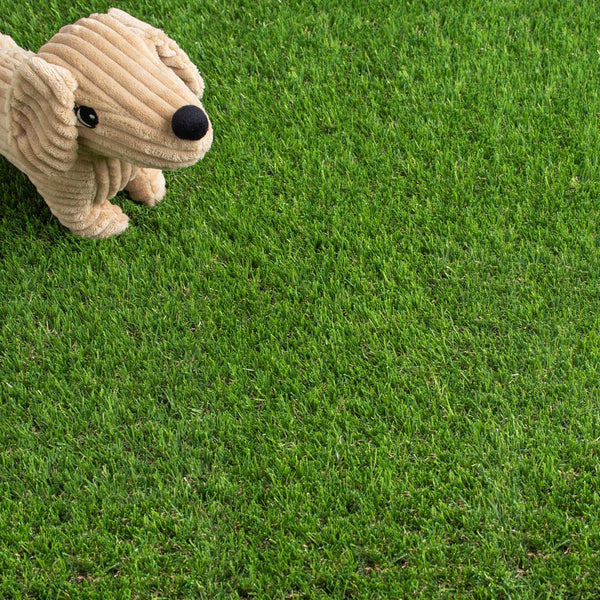 Daisy 40mm Artificial Grass