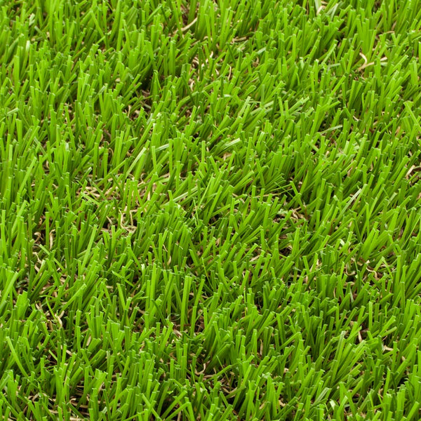 Elderberry 42mm Artificial Grass
