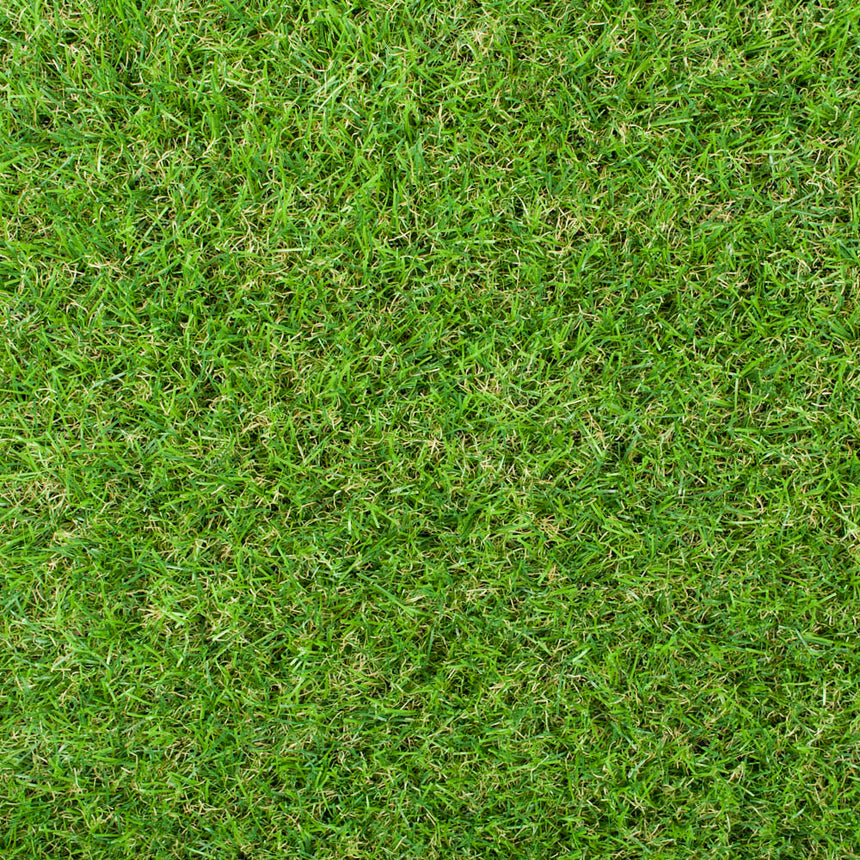 Maplespring 30mm Artificial Grass