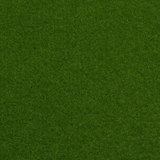 Light Green Outdoor Carpet