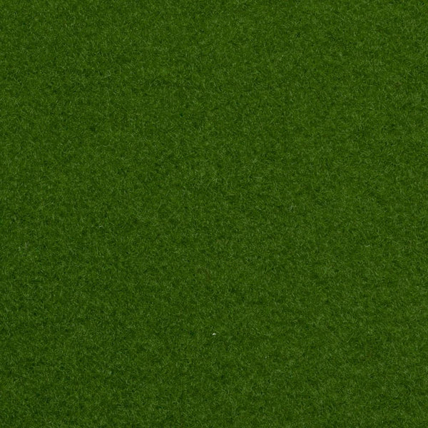 Light Green Outdoor Carpet