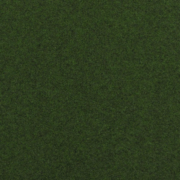 Dark Green Outdoor Carpet far